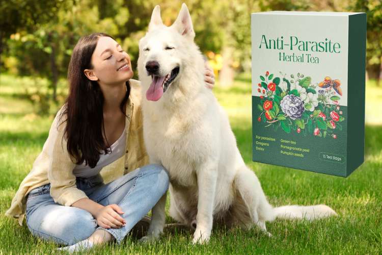 Anti-Parasite цена