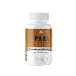 ParaDetox